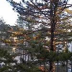 Merlin Apartmani, Zlatibor