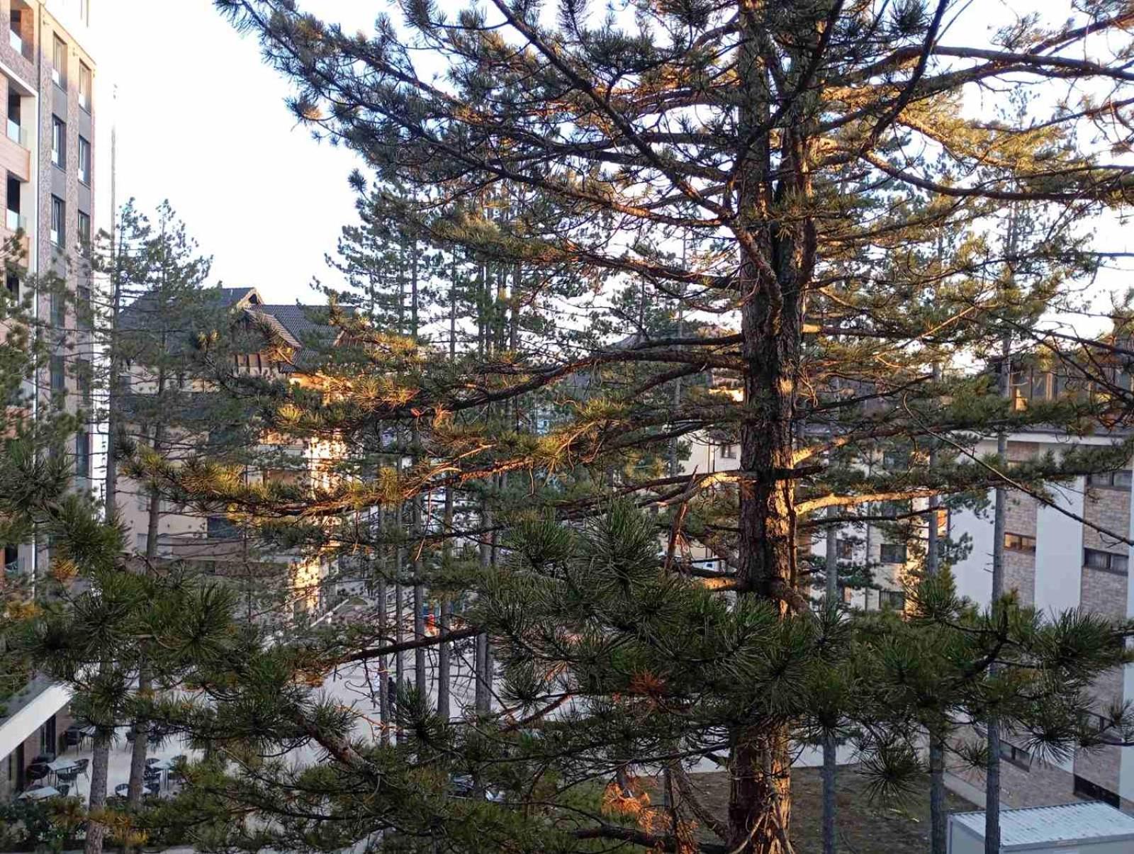 Merlin Apartmani, Zlatibor