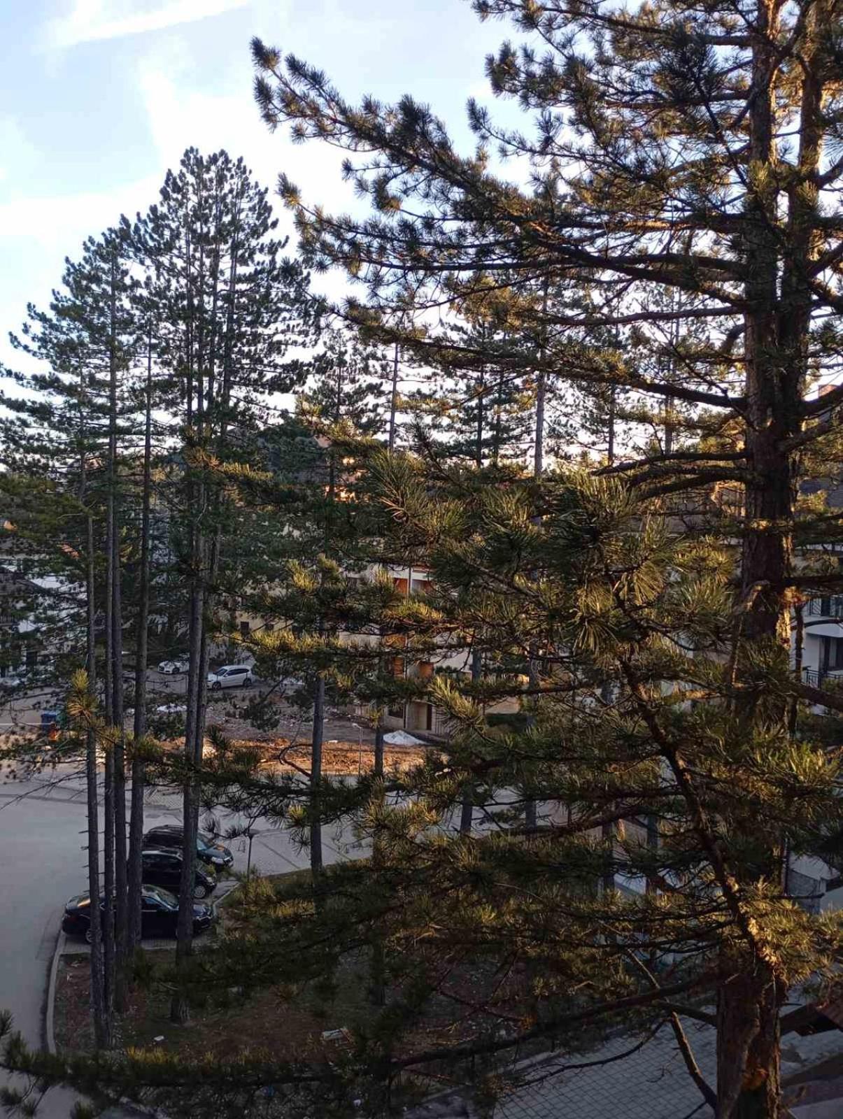 Merlin Apartmani, Apartment Zlatibor